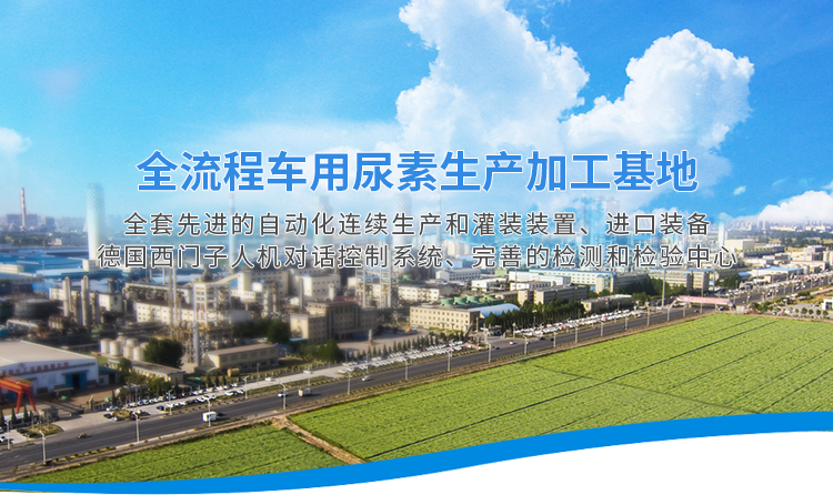 河南心連心藍色環保科技有限公司